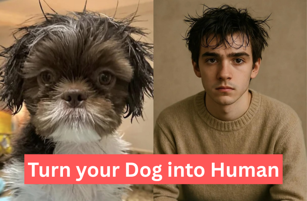 Turn Your Dog into Human Using ChatGPT